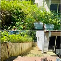 Fall Clean Up for Golovin Property Services LLC in Marysville, WA