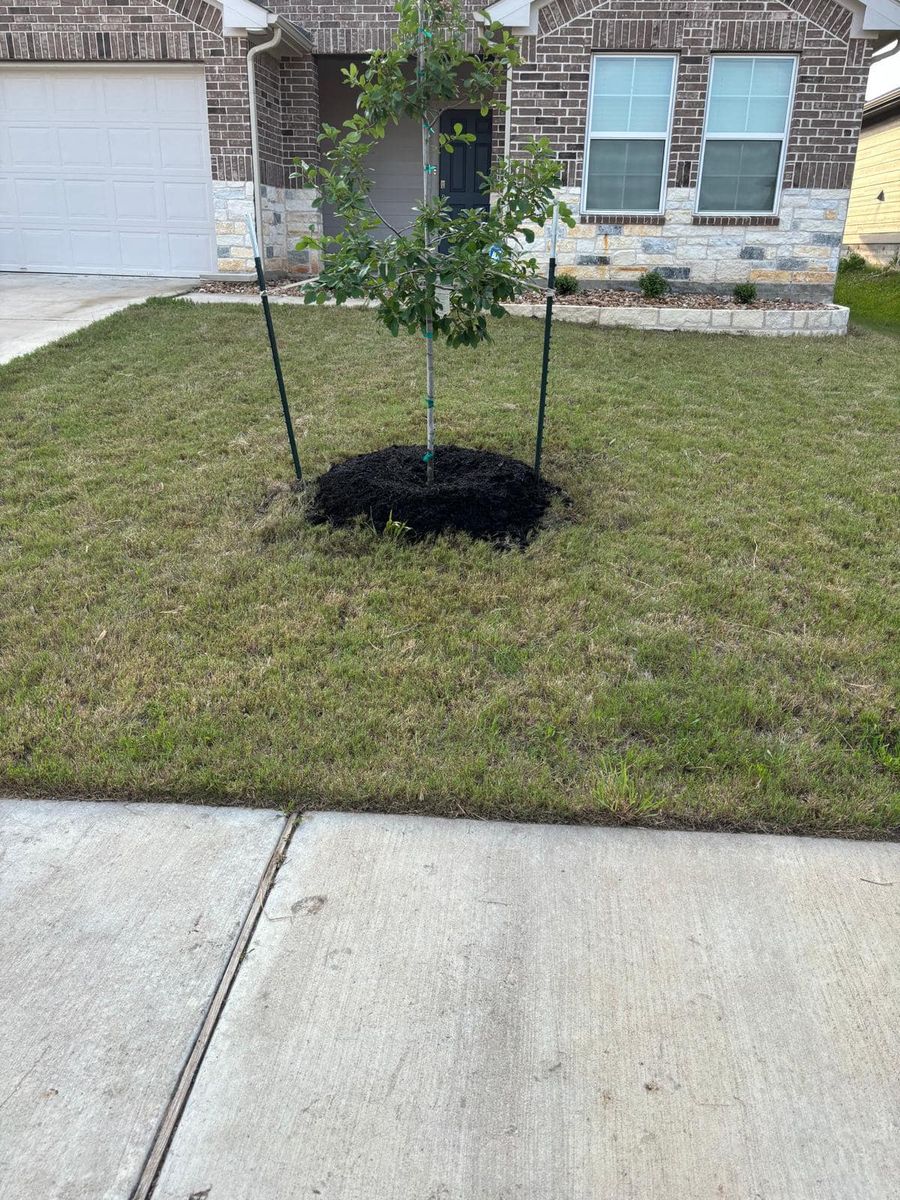 Edging for Pina Landscaping in Austin, TX