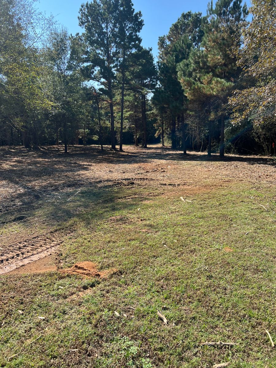 Land Clearing for 903 Mulching in East Mountain, TX