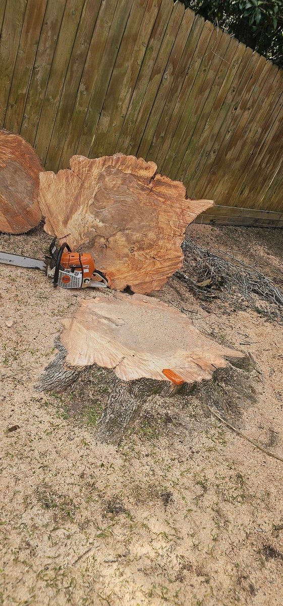 Stump Removal for Servin's Tree Care  in Houston, TX