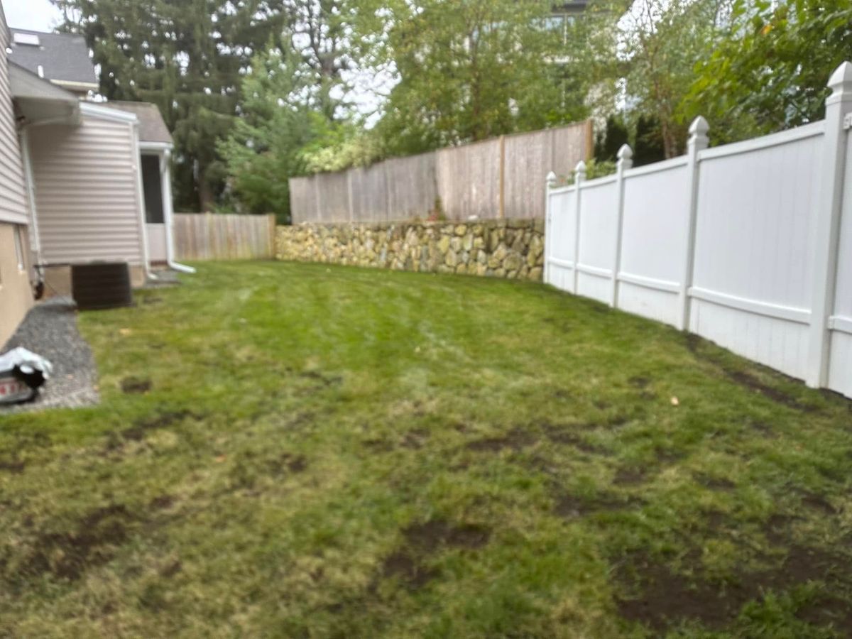 Lawn Maintenance for Saavedra & Sons Landscaping in Waltham, MA