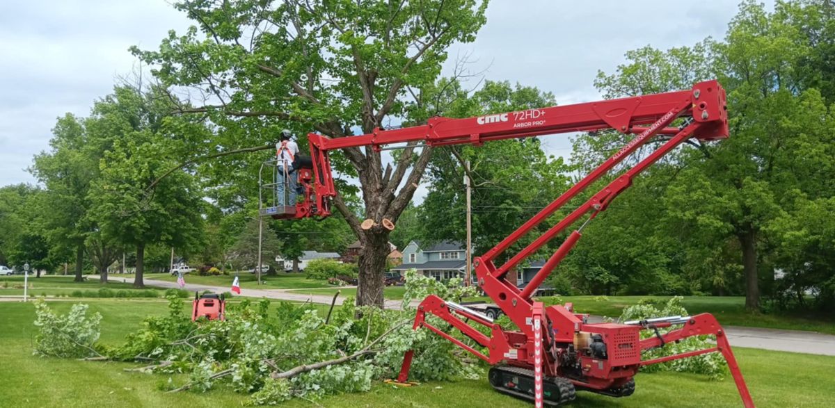 Tree Trimming for Lawn Ranger Yard And Tree Service LLC in Ottumwa, IA