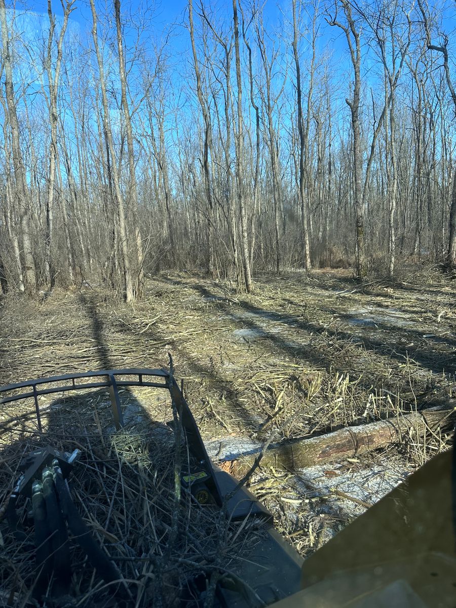 Debris Removal for B & M Land Management in Green Bay, WI