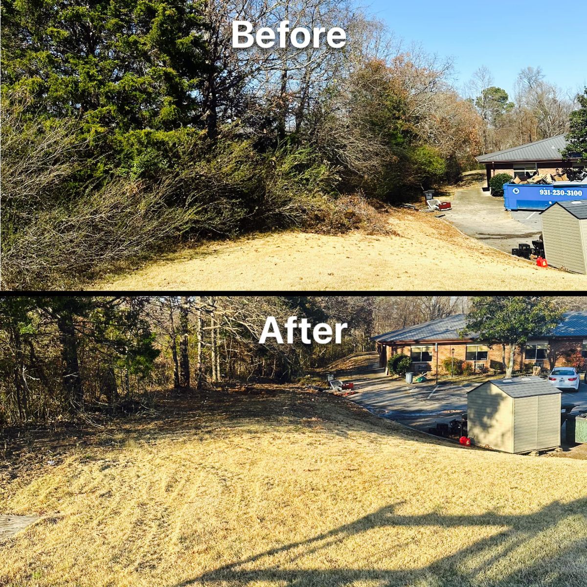 Land Clearing for Thickets Land Clearing & Excavation in Hohenwald, TN