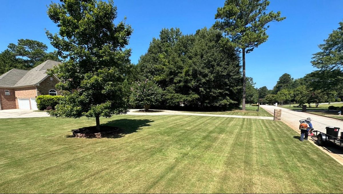 Lawn Maintenance for Castillo’s Lawn Care in Monroe, GA
