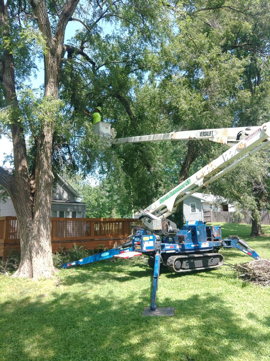 Tree Trimming for Mitchell Tree Company in Lathrop, MO