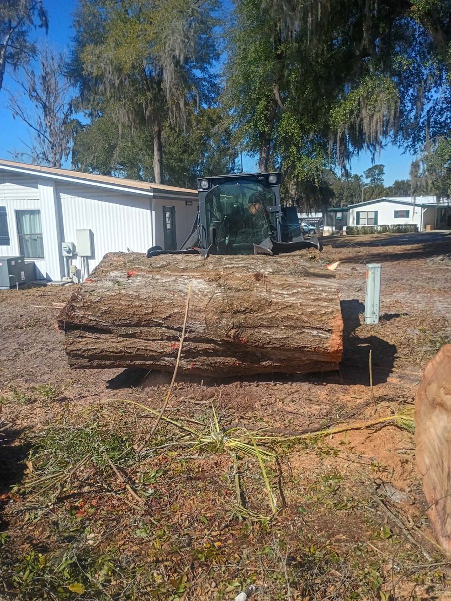 Stump Grinding for All Around Guys Tree Service in Ocala, FL