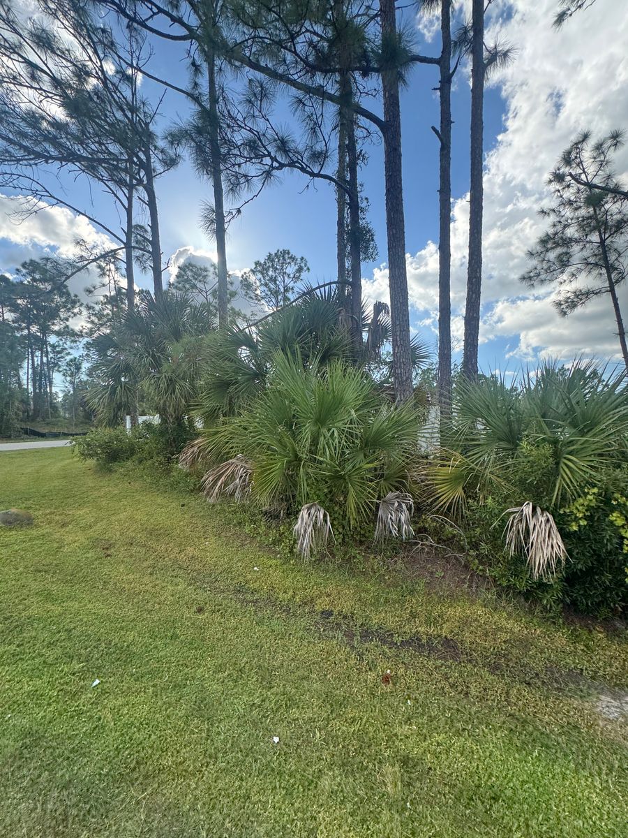 Lawn Maintenance for Rize N’ Grind  in Punta Gorda, FL