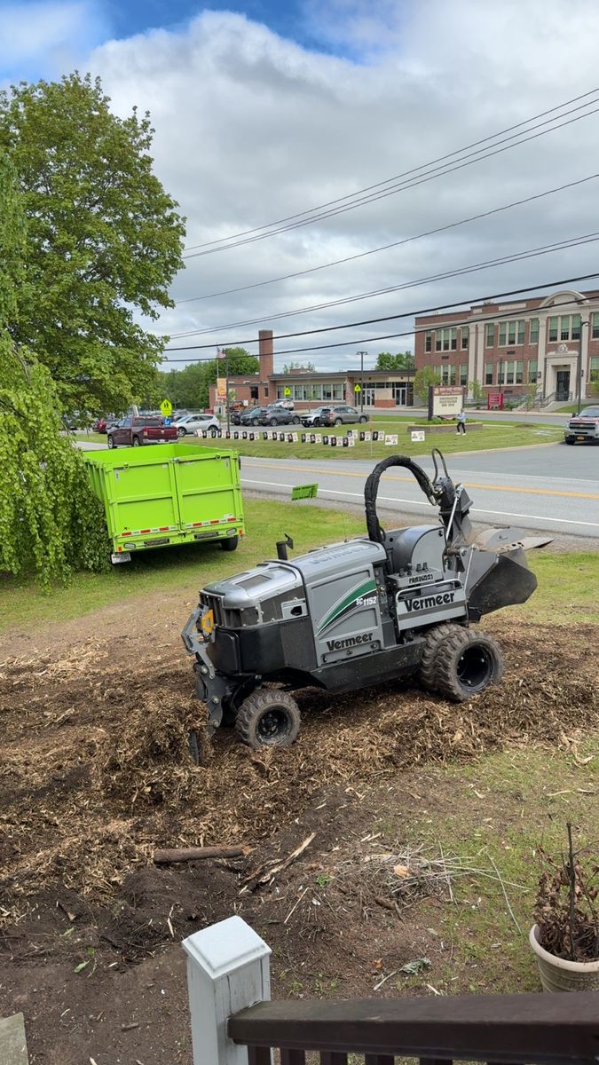 Stump Grinding for Sterlings Tree Removal in Cobleskill, New York