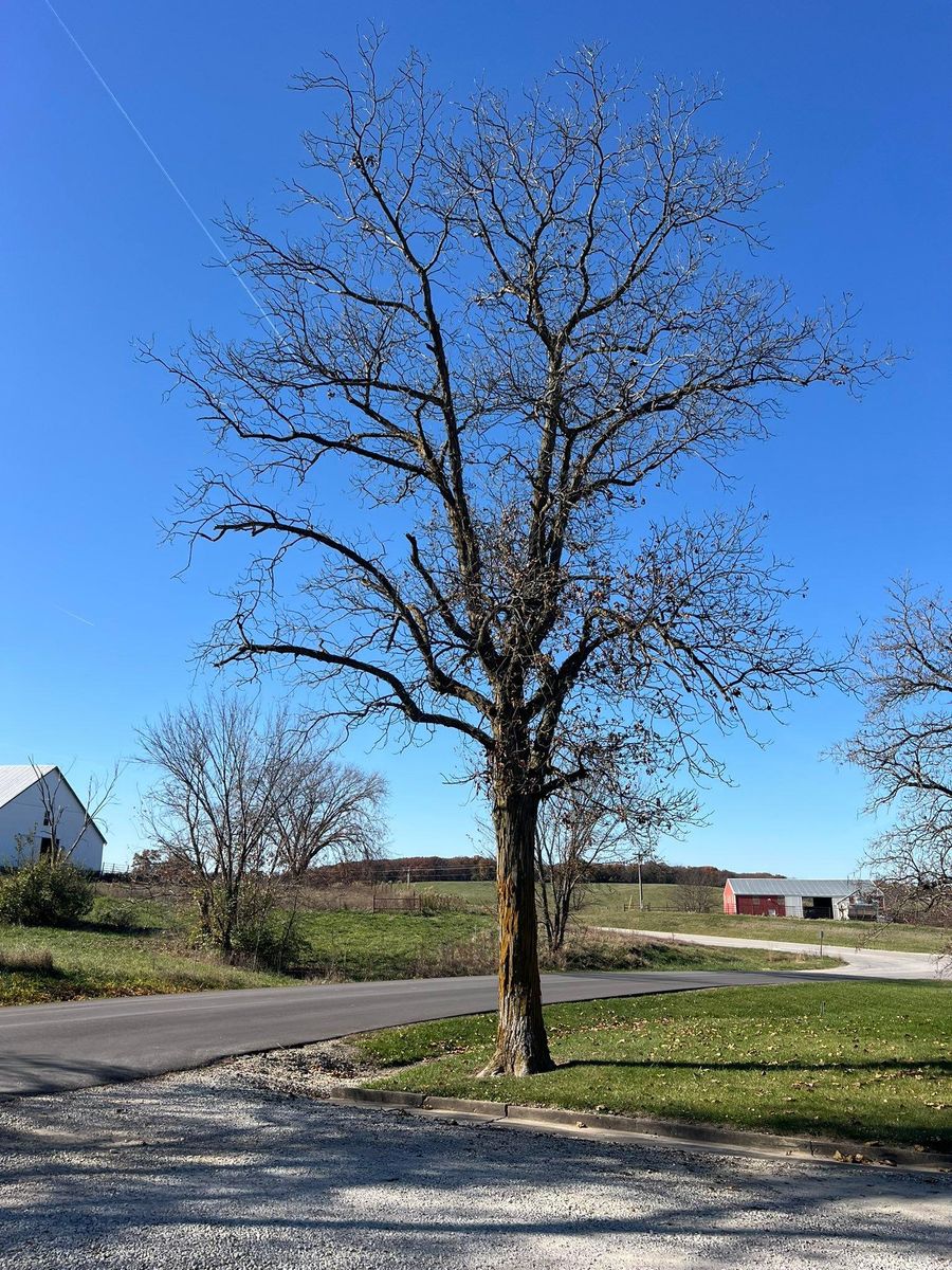 Property Clean Up for Baker Professional Services LLC in Shelbina, MO