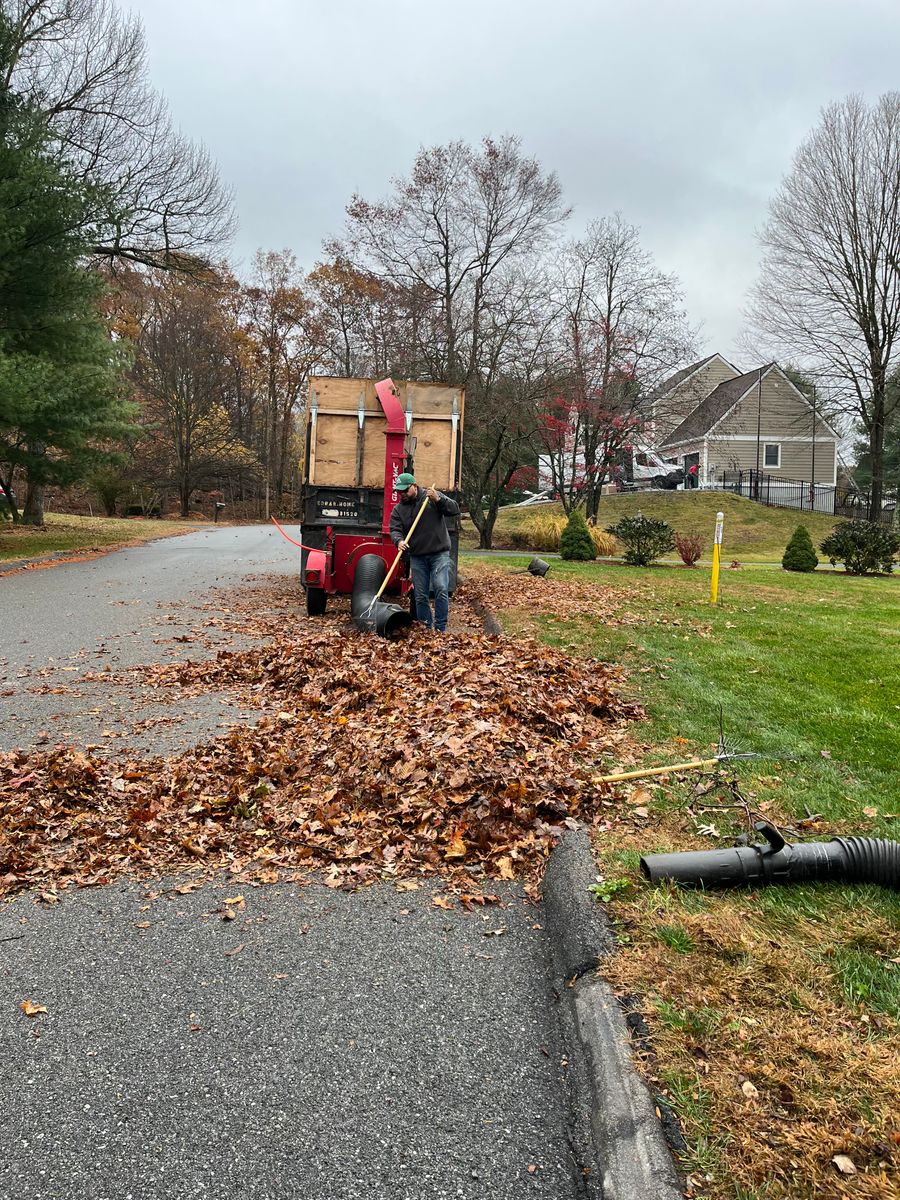 Fall Clean Up for Zaldivar’s Lawn Care INC  in Peekskill, NY