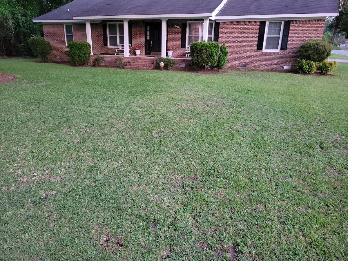Weed Trimming and Edging for Just Mow and Go Lawn Service, LLC in New Bern, NC