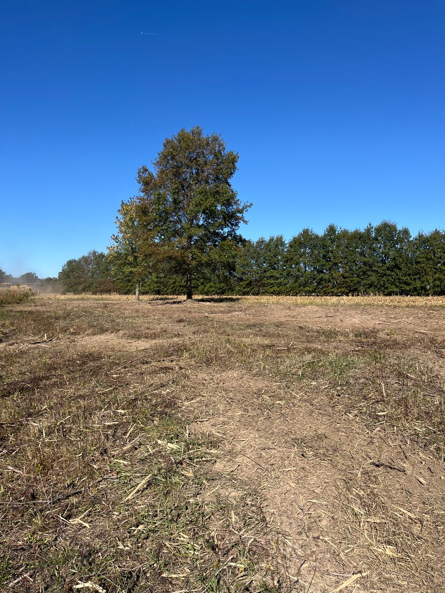 Land Clearing & Demolition for KG Ground Development and Transportation in Newton, IL