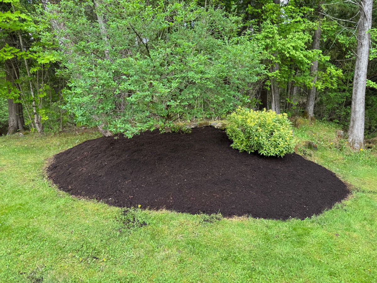 Garden Bed Mulching for Jack Of All Blades in Windsor County, VT