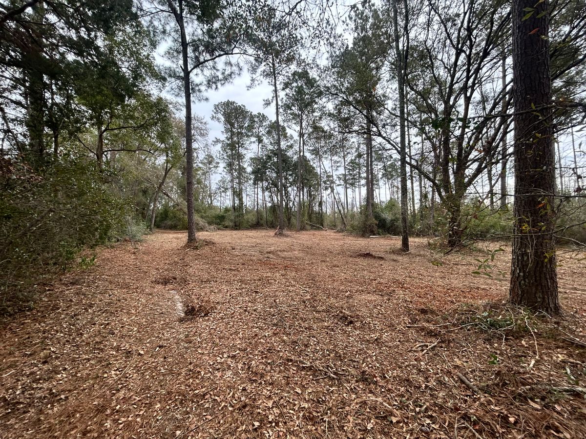 Mulching for Southeast Aquatic Land Services LLC  in Waycross, GA