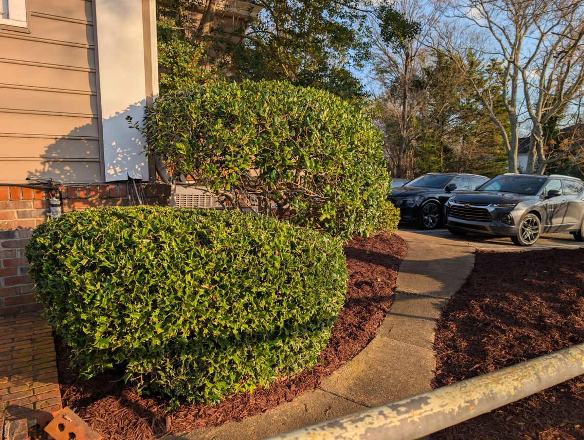 Mulch Installation for Cody’s Lawn & Landscape in Greer, SC