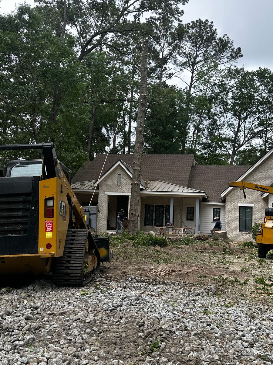 Underbrushing for Iron Industries in Bluffton, SC