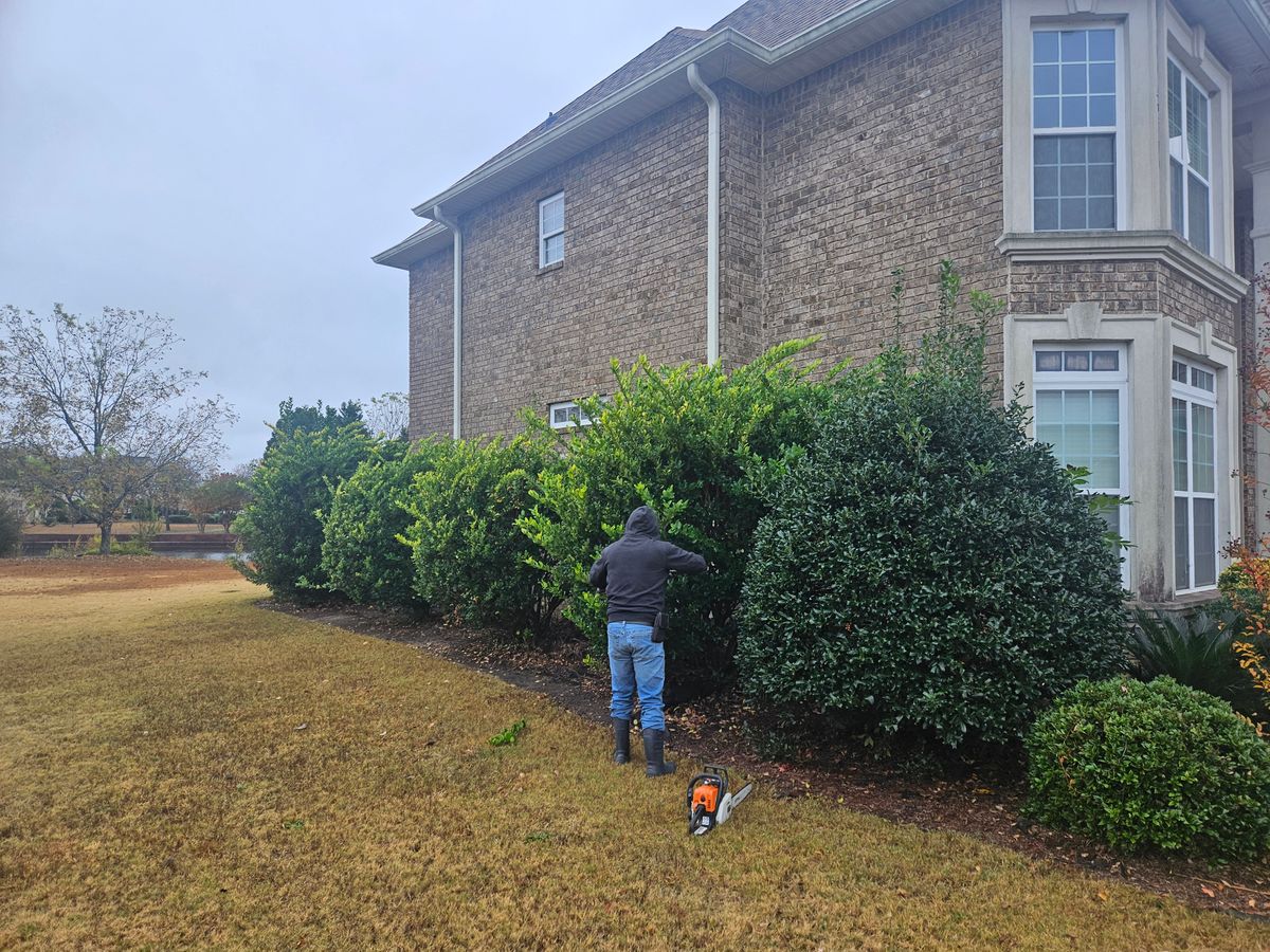 Shrub Trimming for Zepeda's Mowing in Fort Valley, GA