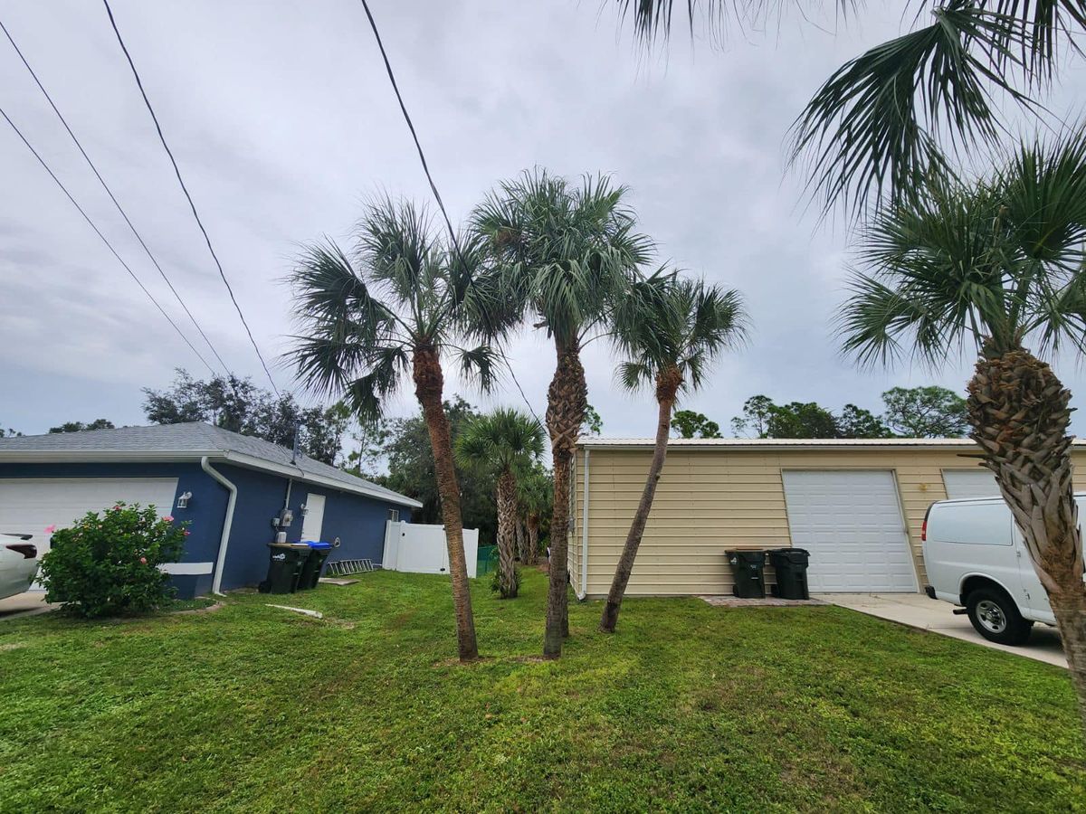 Land Clearing for Nick of Time Tree Service in North Port, FL