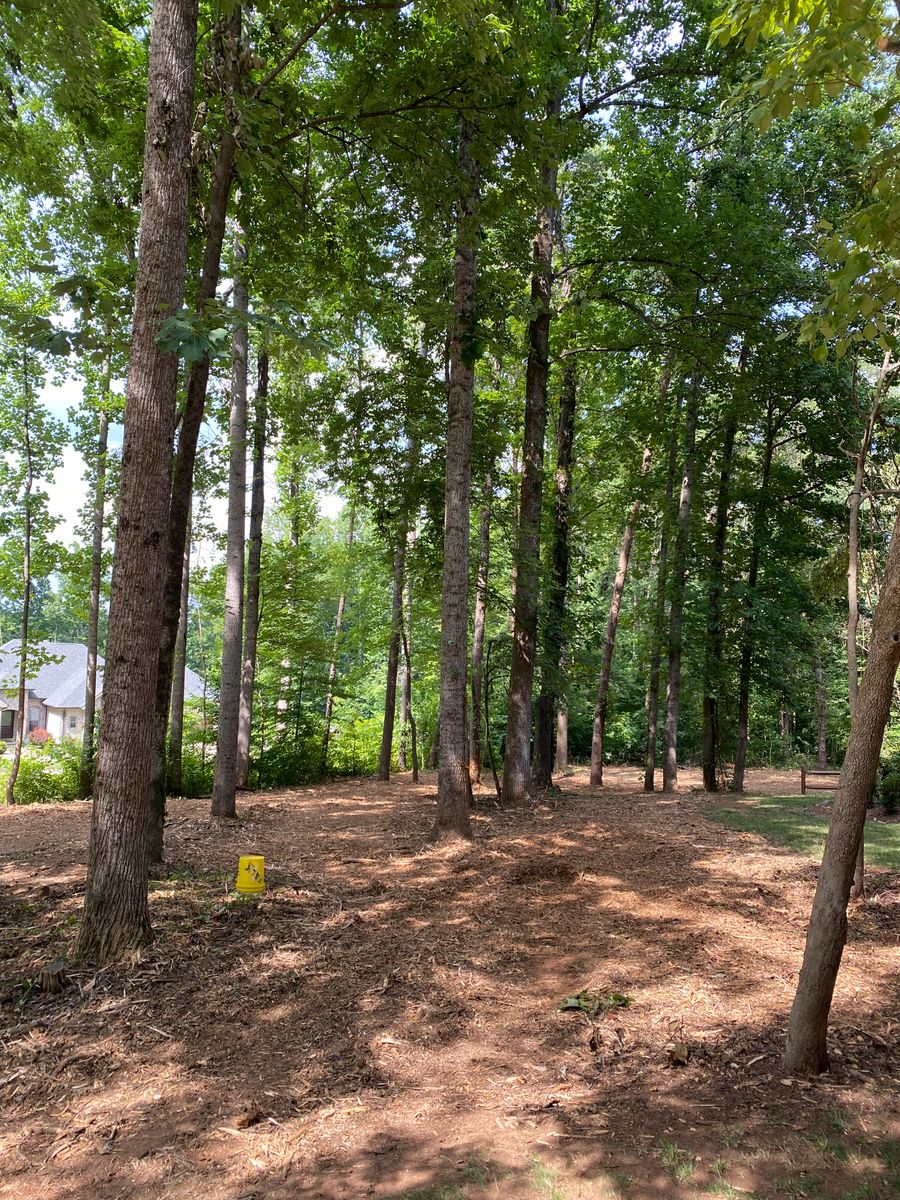 Forestry Mulching for Southern Land Solutions Forestry Mulching, LLC in Cleveland, NC