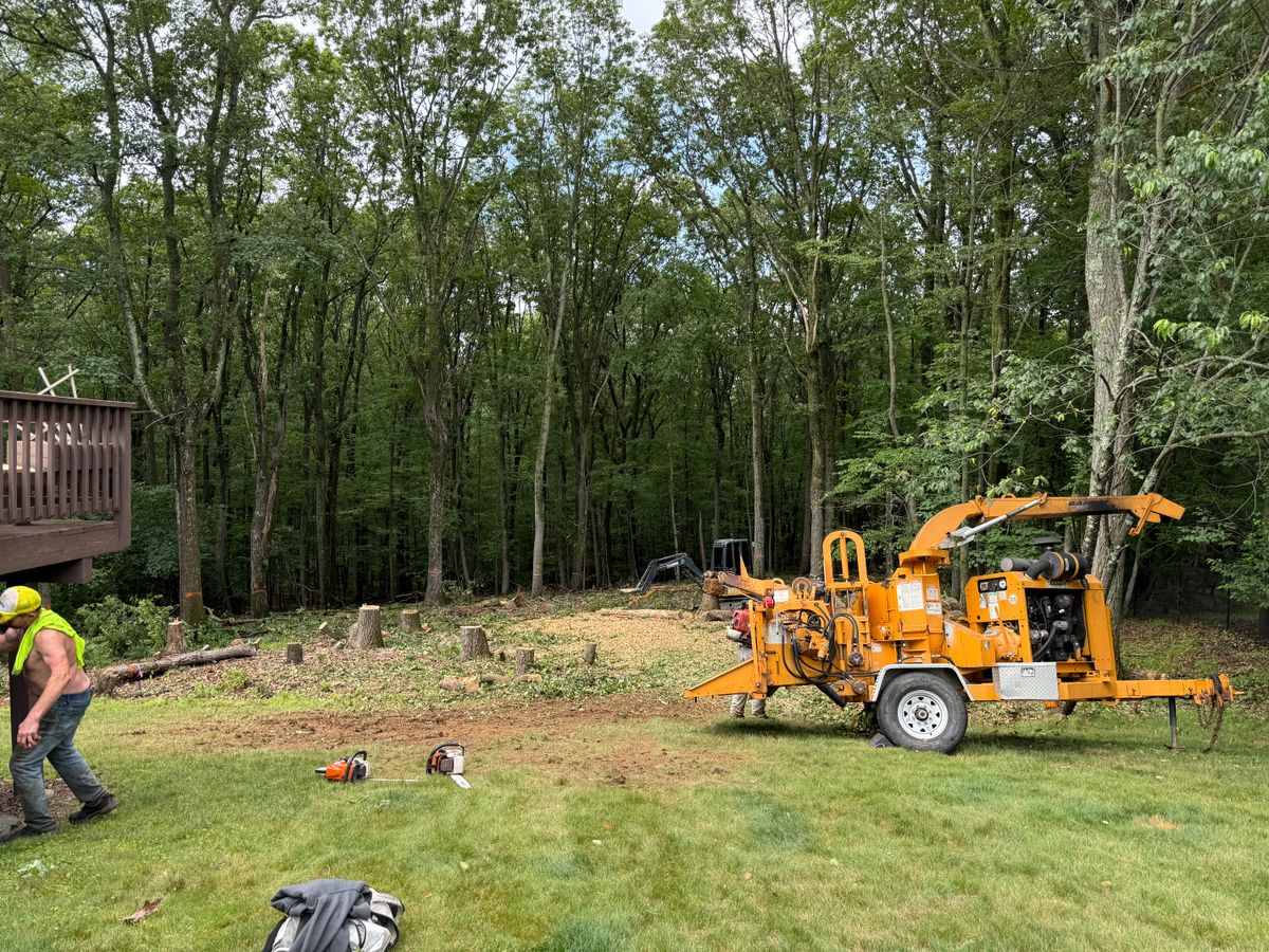 Lot Clearing for Total Tree Service in Washington, NJ