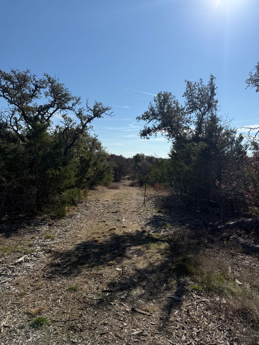 Tree Trimming for Oakley’s Stump ‘N Grind in Leander, TX