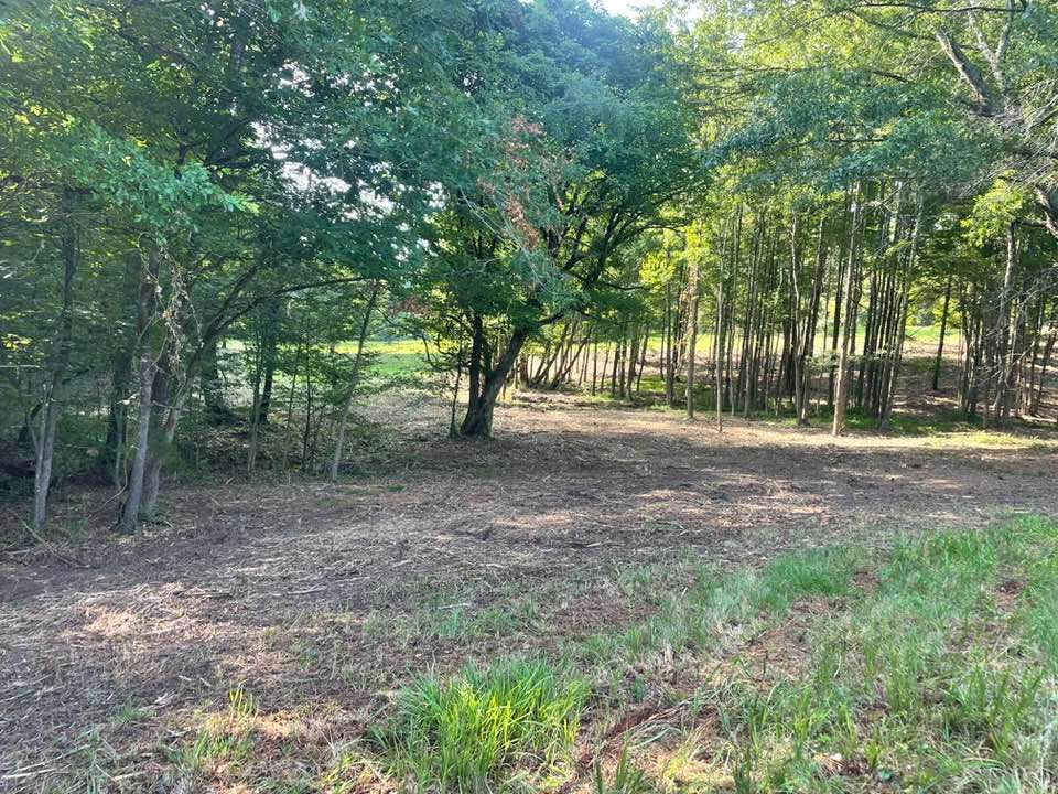 Forestry Mulching for Southern Land Improvements in Edgefield, SC