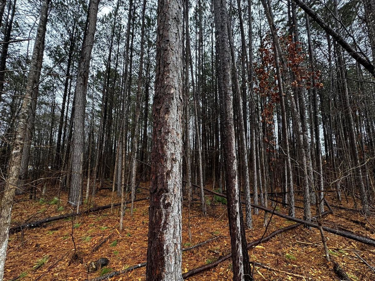 Other Services for Northern Summit Landworks in Little Falls, MN