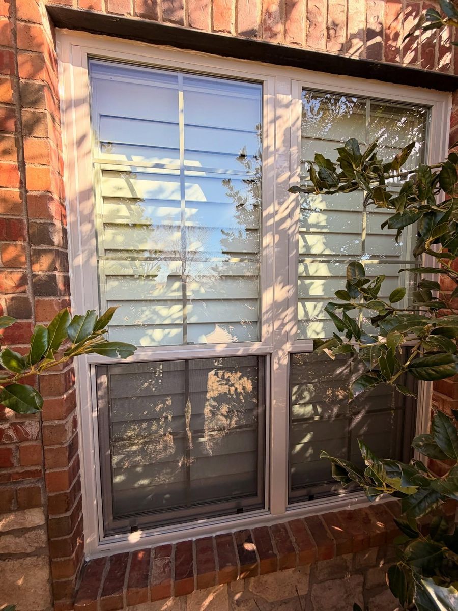Window Replacement for Proud Crowd Construction in Canyon, TX