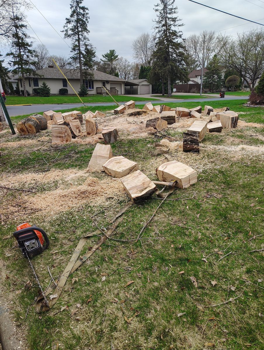Tree Removal for Big River lawn Care services and snow LLC in Wausau, WI