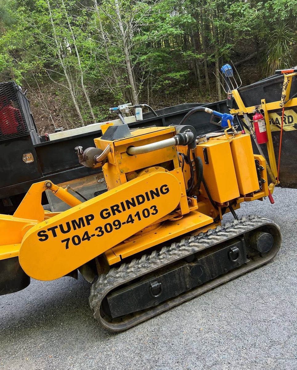 Stump Grinding for Mighty Moose in Charlotte, NC