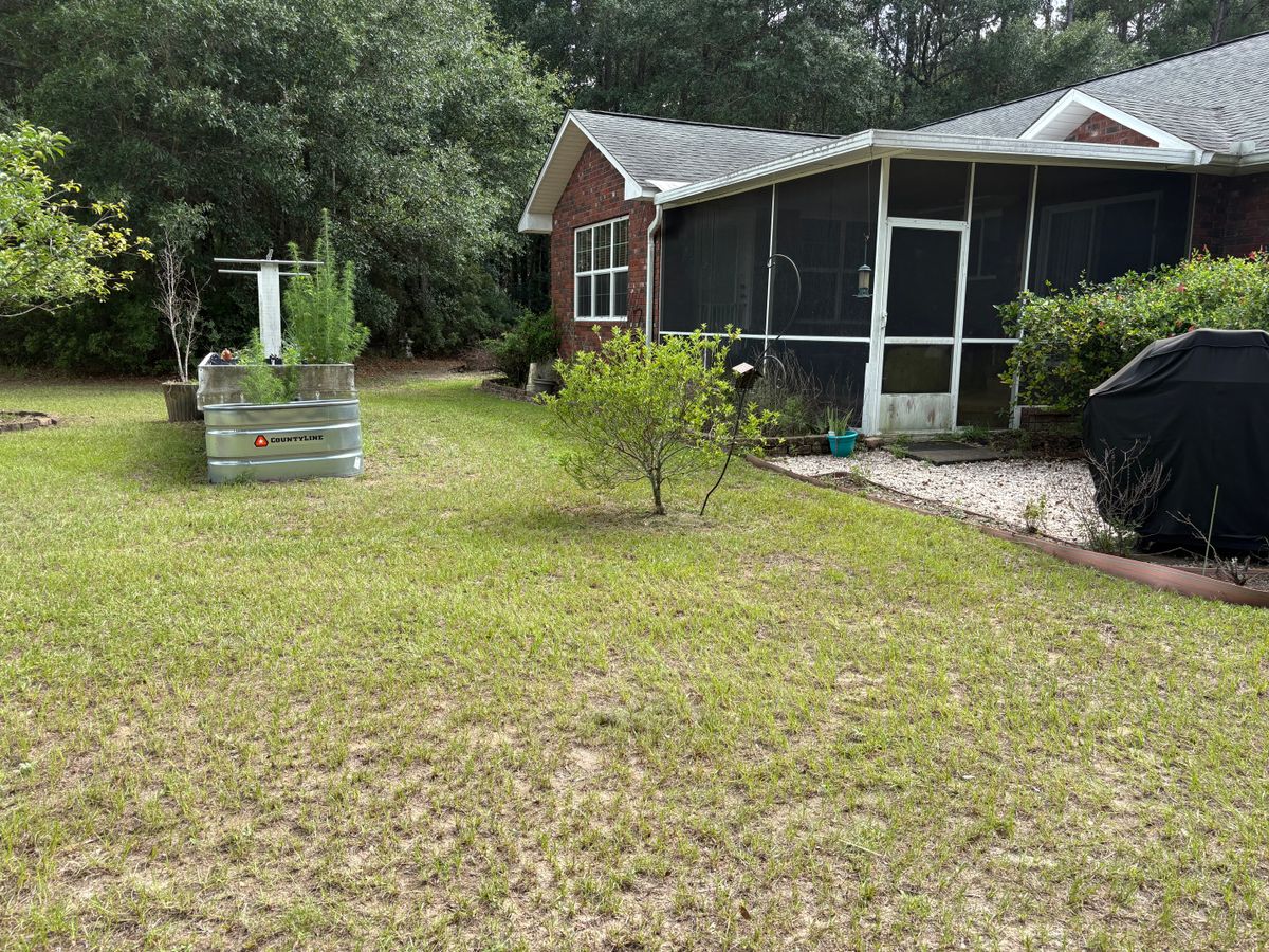 Tree Limb & Shrub Care for Southern Roots Mowing in Townsend, GA