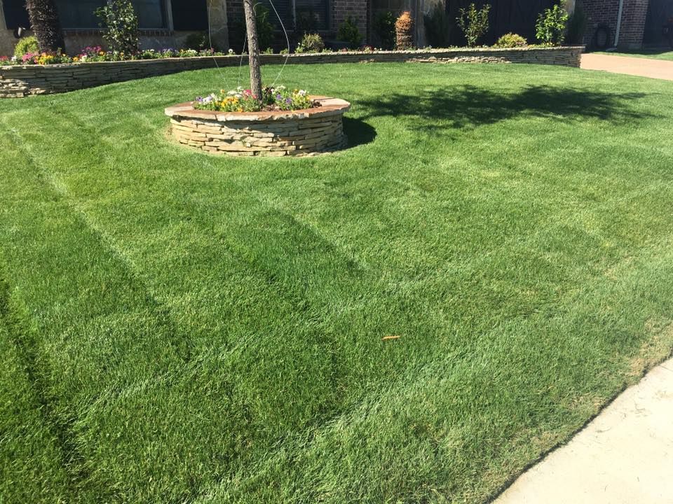 Lawn Mowing / Maintenance  for E&D Landscape Services in Mansfield, TX