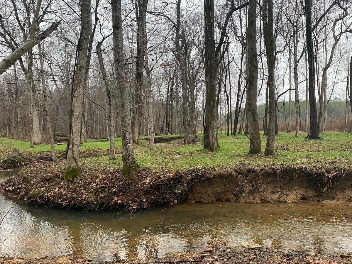 Pond Construction for Mud Creek Vegetation Management in Russellville, AL