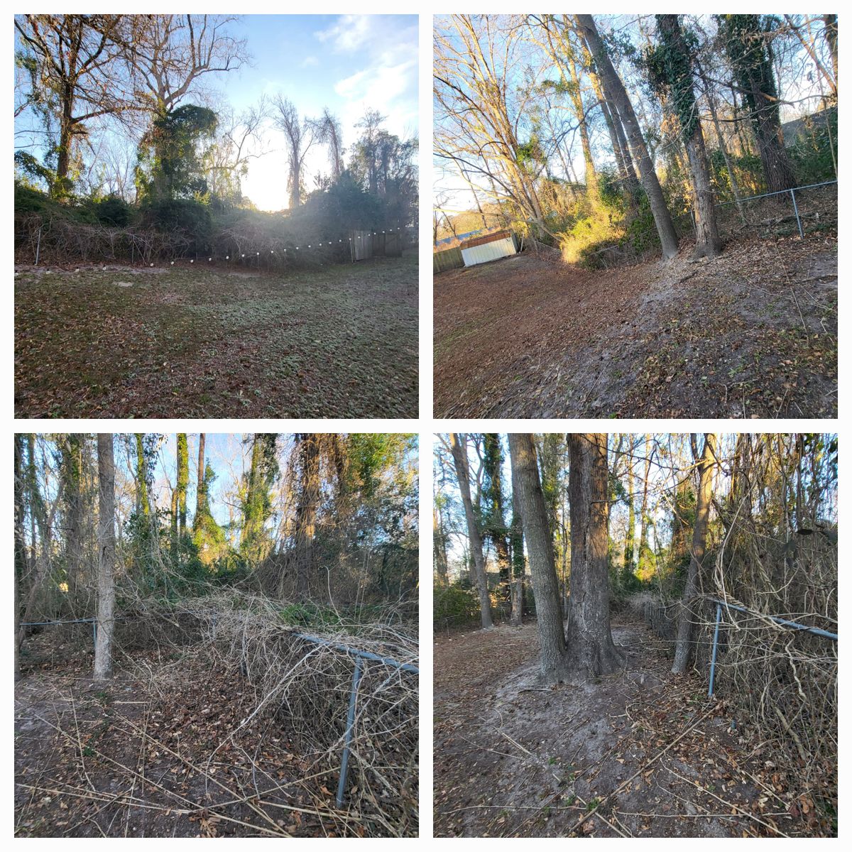 Brush Clearing for Heroy's Lawn Services in Jacksonville, North Carolina