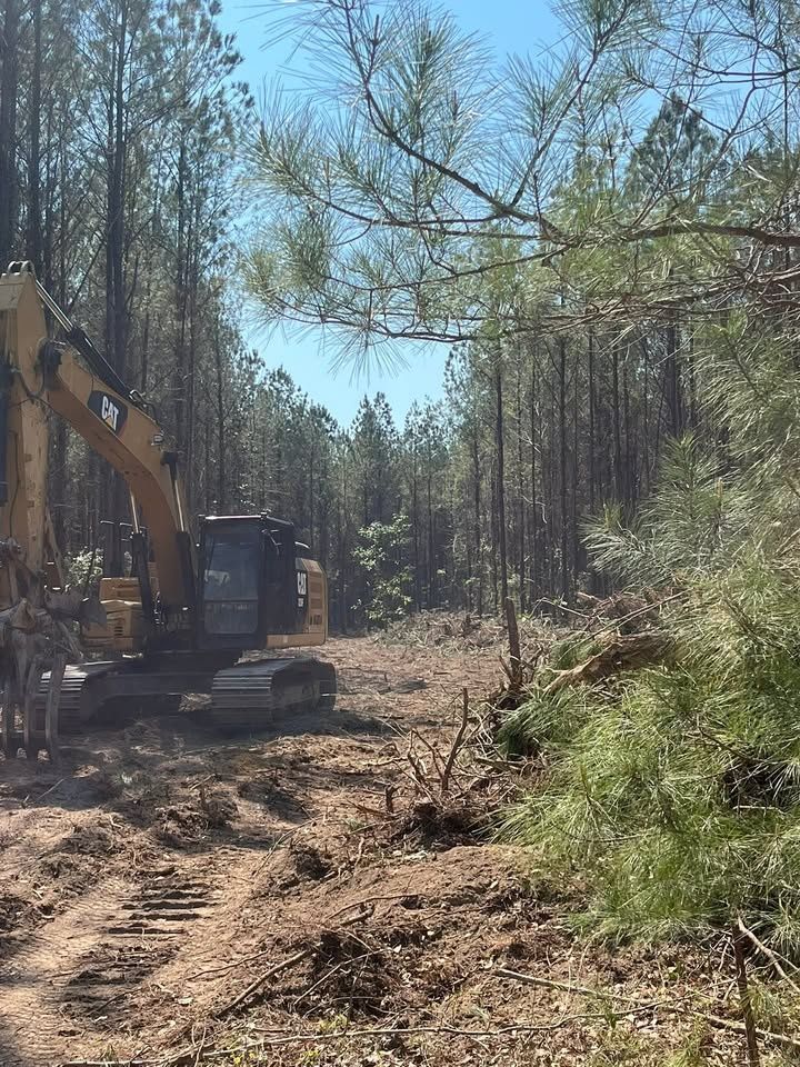 Forestry Mulching for Touchberry Clearing & Grading Llc. in Columbia, South Carolina