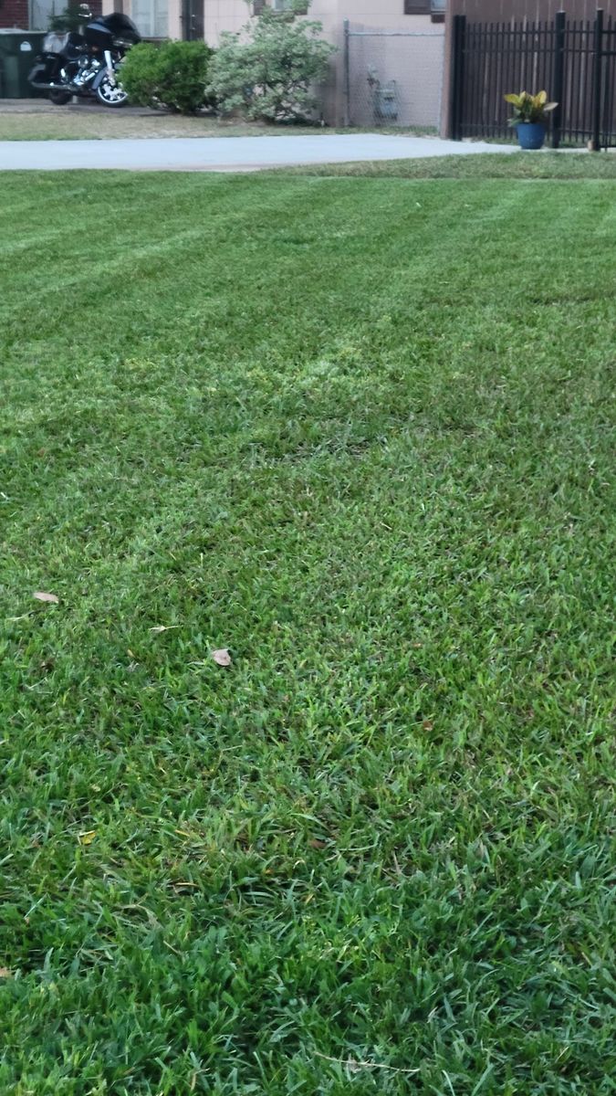 Lawn Care for Baker Property Management Solutions LLC in Pensacola, FL