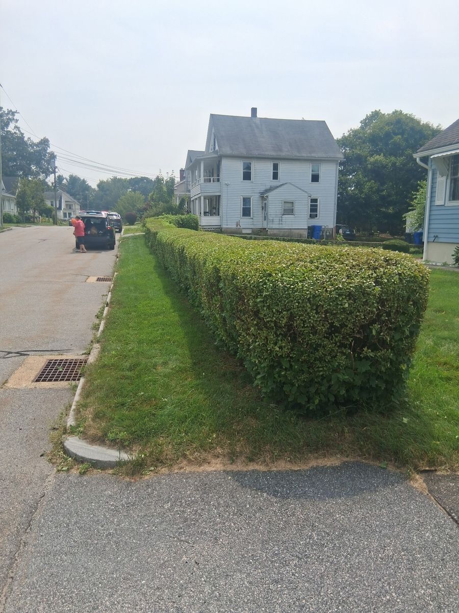 Landscape Installation for Landscape Innovations LLC in Torrington, CT