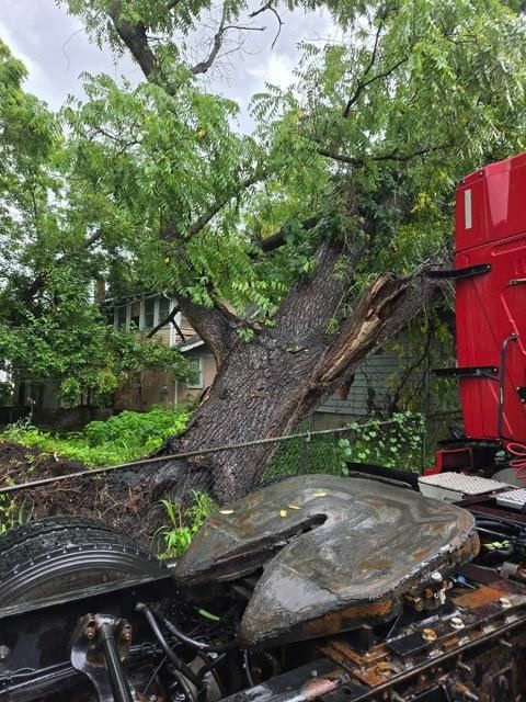 Tree Removal for Mitchell Tree Company in Lathrop, MO