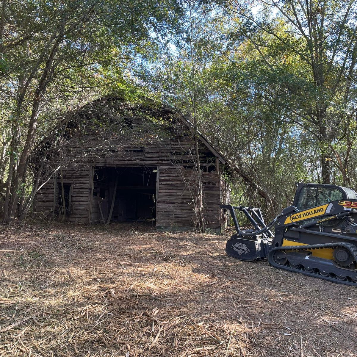 Tree removal and cleanup for Reed Construction Services LLC in Cartersville, GA