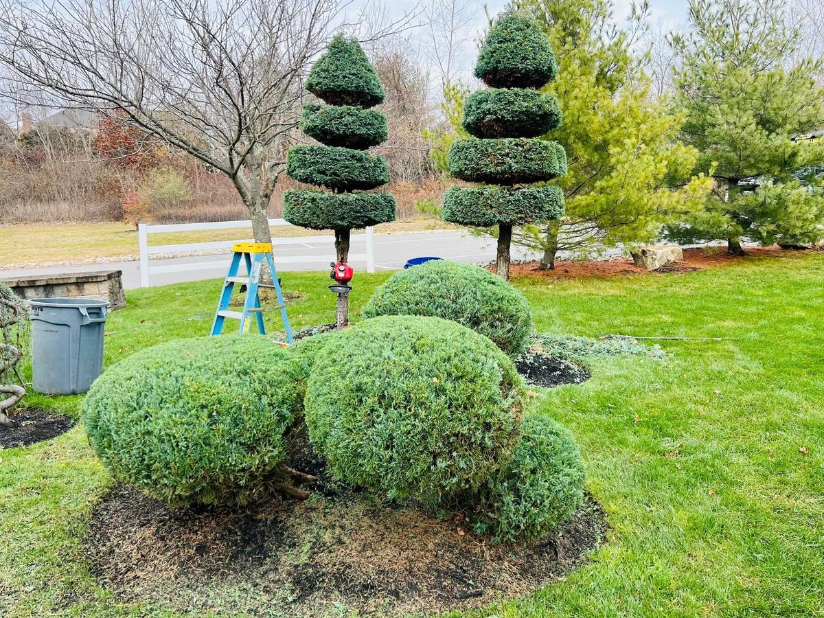 Shrub Trimming for JC Deleon landscaping Irrigation & Masonry in Saugus, MA