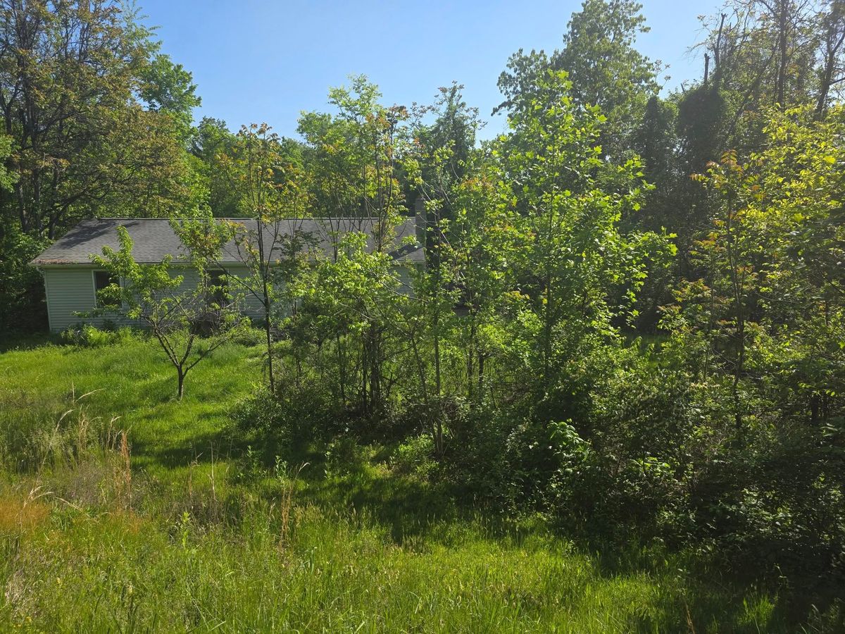 Tree & Shrub Care for Abbott's Lawn & Landscape in Manchester, PA