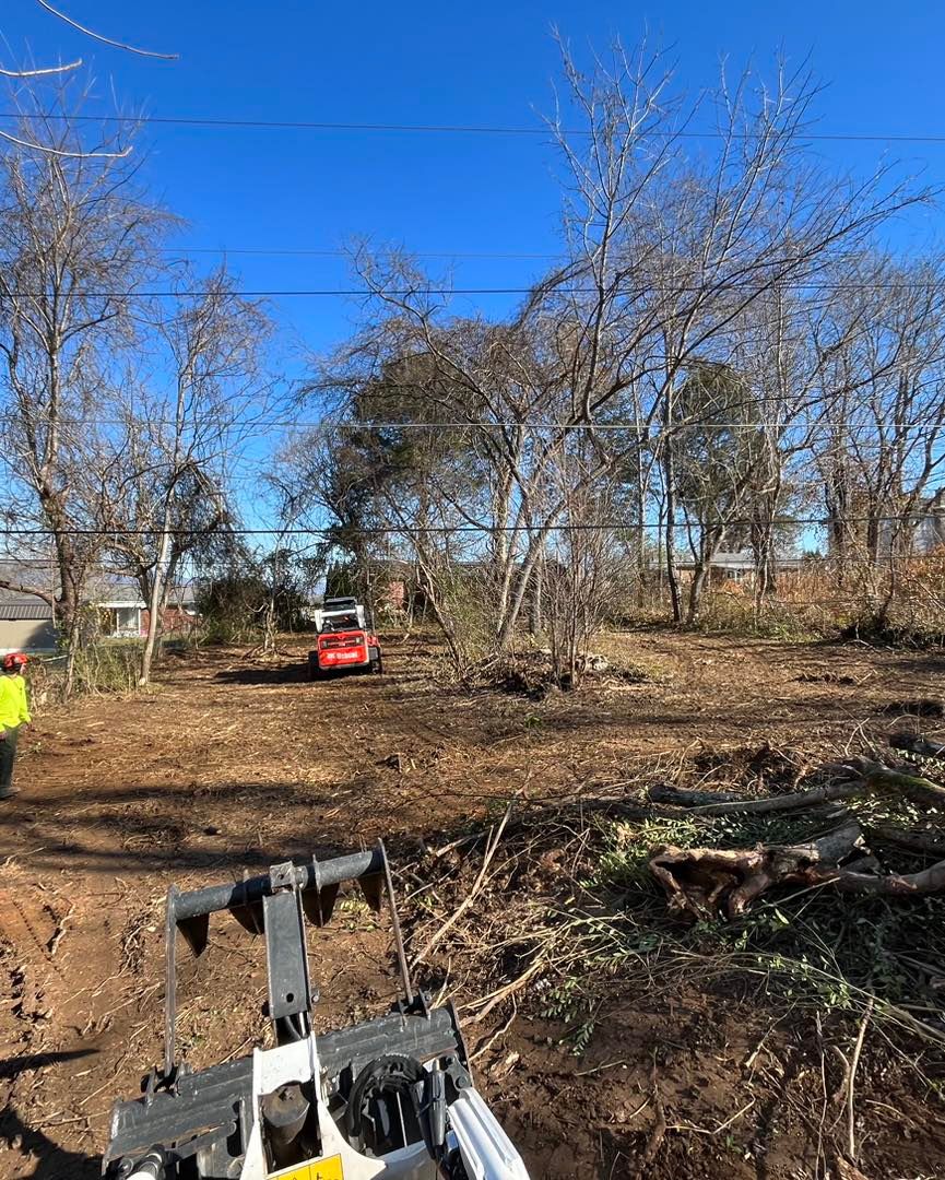 Land Clearing for Complete Care in Cumberland Gap, TN