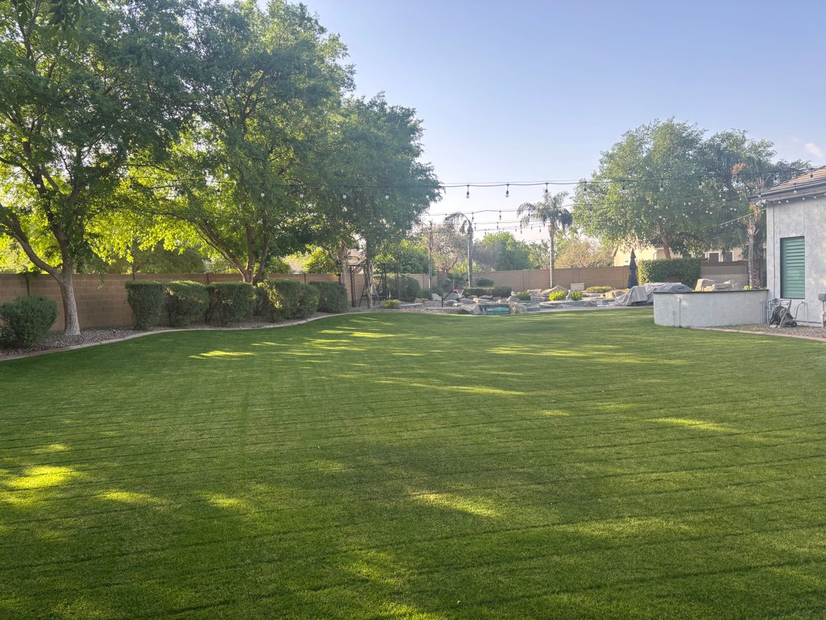 Mowing for Revolution Landscape Construction in Mesa, AZ
