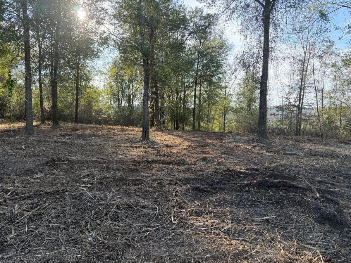 Land Clearing & Demolition for DC Construction Company LLC in Clanton, AL