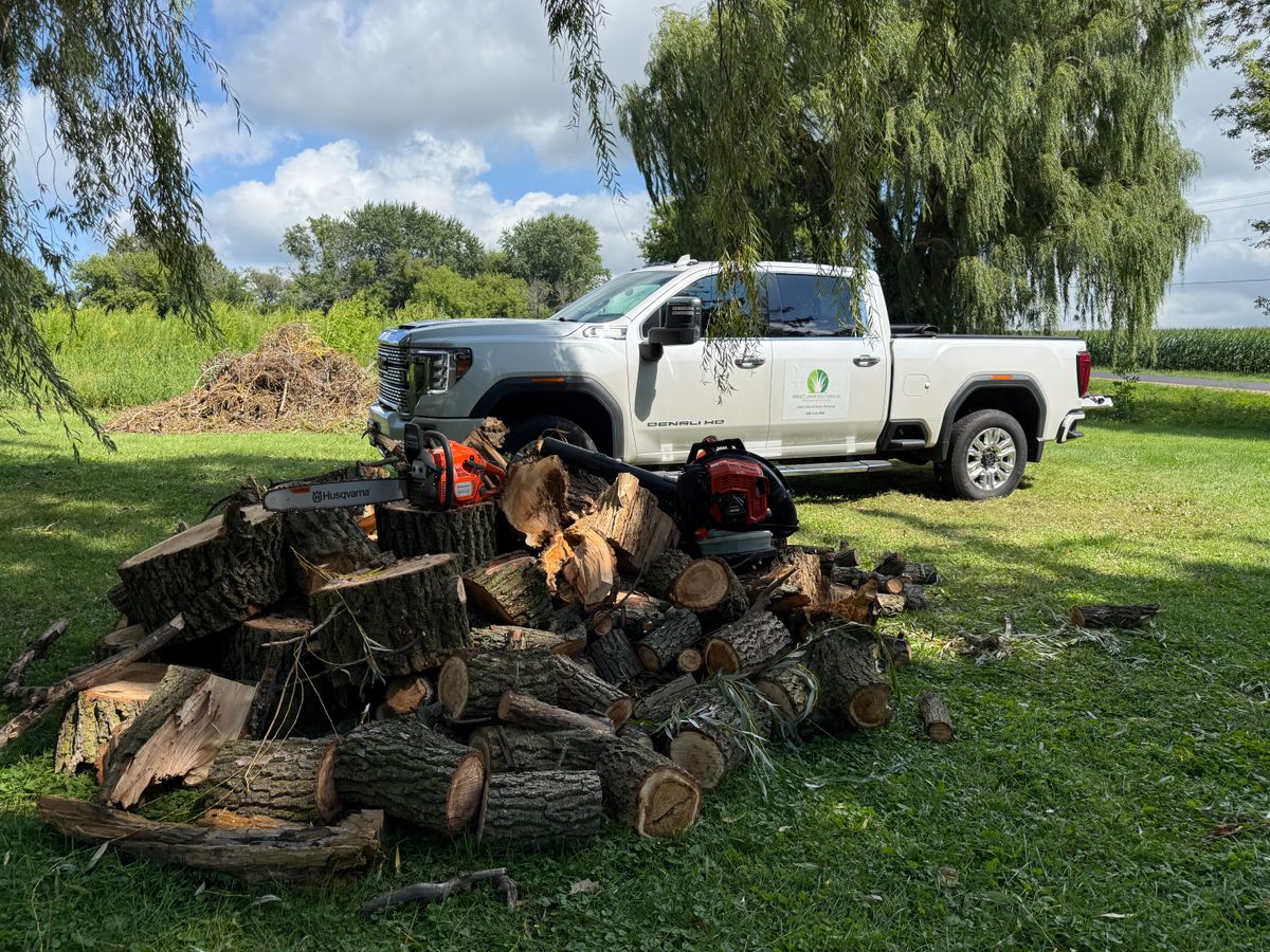 Spring Clean Up for Perfect Lawn Solutions LLC in Marshall, WI
