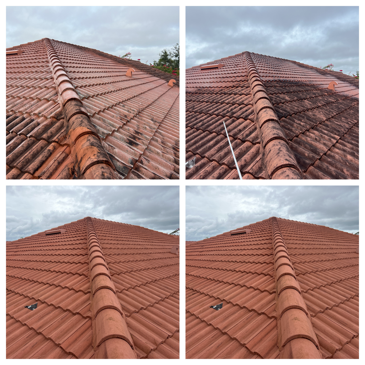 Roof And Exterior Cleaning for My Window Guys in Venice, FL