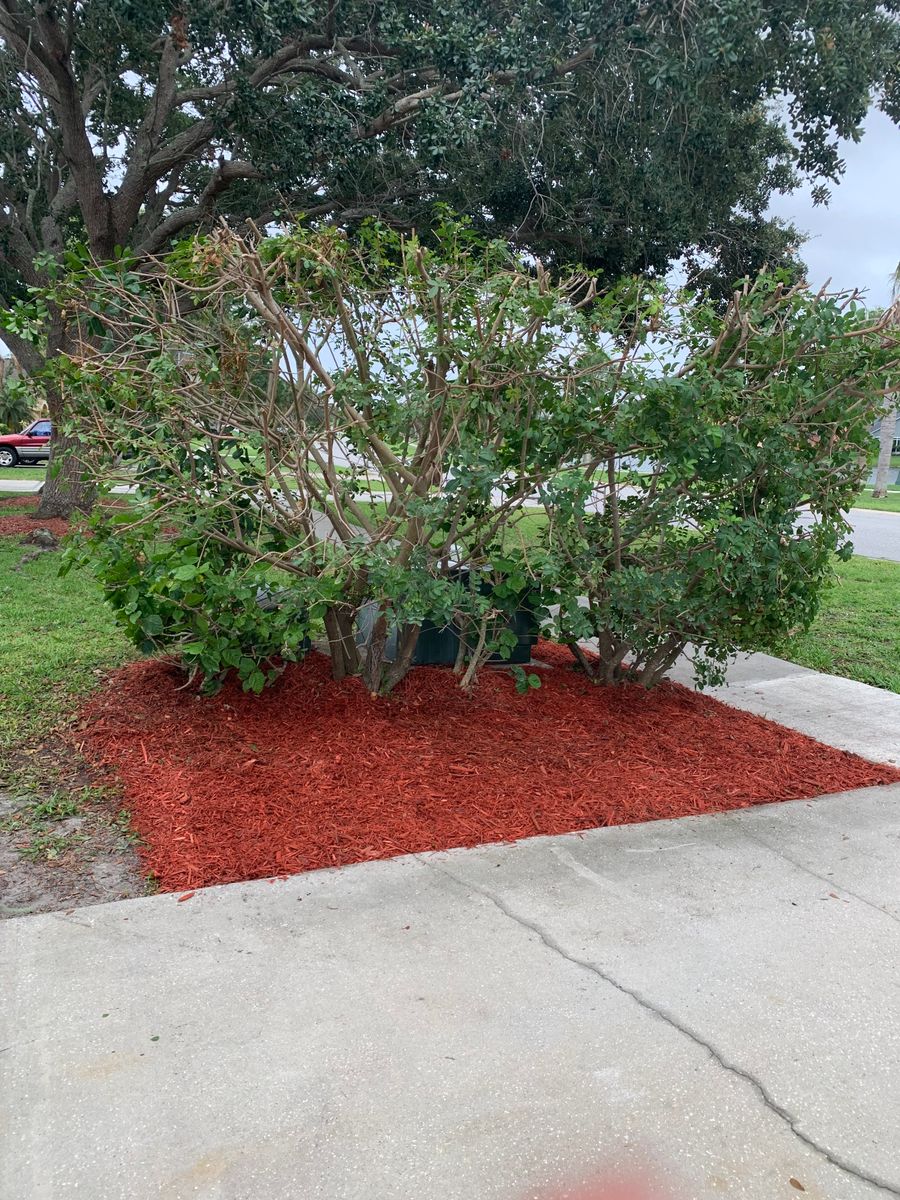 Landscaping & Outdoor Design for Space Coast Property Maintenance and Management LLC in Melbourne, FL
