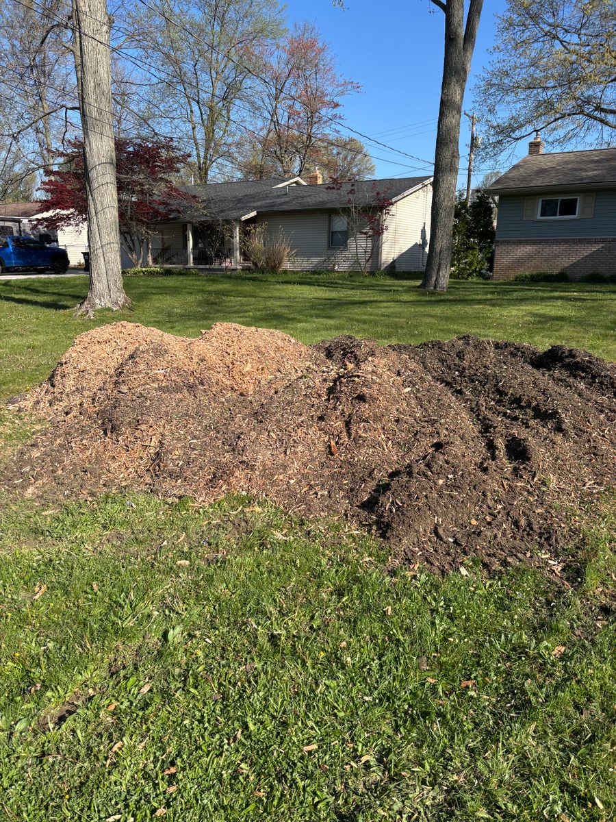 Stump Removal for Dean's Stump Removal in Youngstown, OH