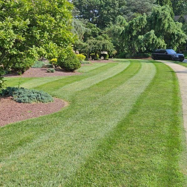 Mowing for Happy Lawns in Wyomissing, PA